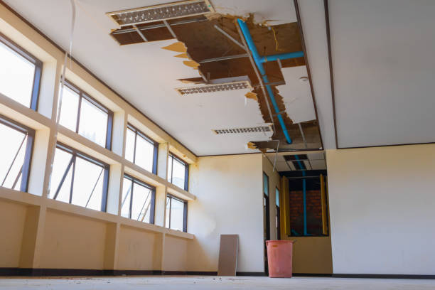 Best Professional water damage repair  in Bear Creek, AL