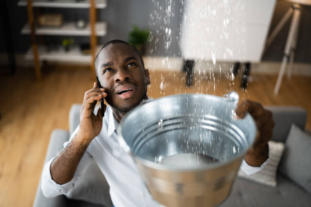 Best Basement water damage restoration  in Bear Creek, AL