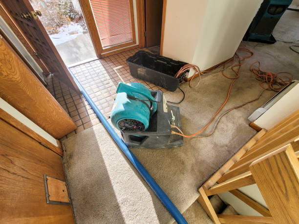 Best Emergency water damage restoration  in Bear Creek, AL