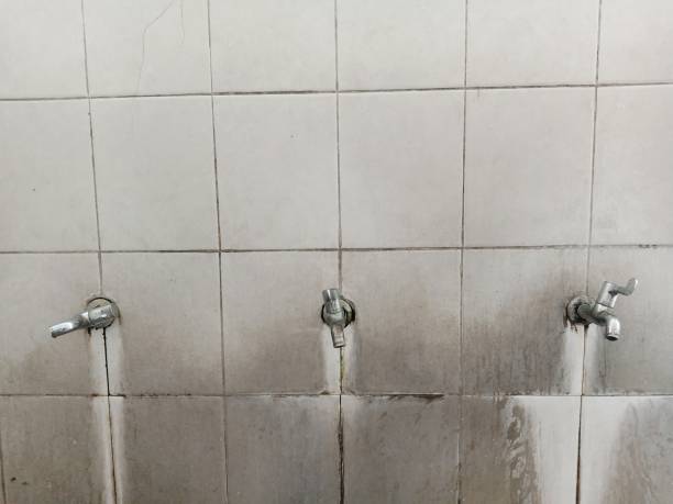 Best Flood restoration services  in Bear Creek, AL