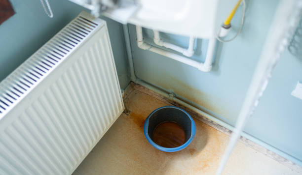 Best 24-hour water damage restoration  in Bear Creek, AL