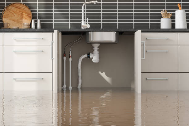 Best Sewage cleanup and water damage restoration  in Bear Creek, AL