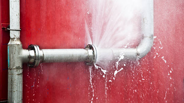 Best Carpet water damage restoration  in Bear Creek, AL